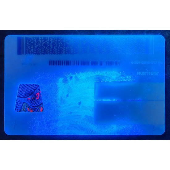 New York (NY) Fake Dirvers Licence